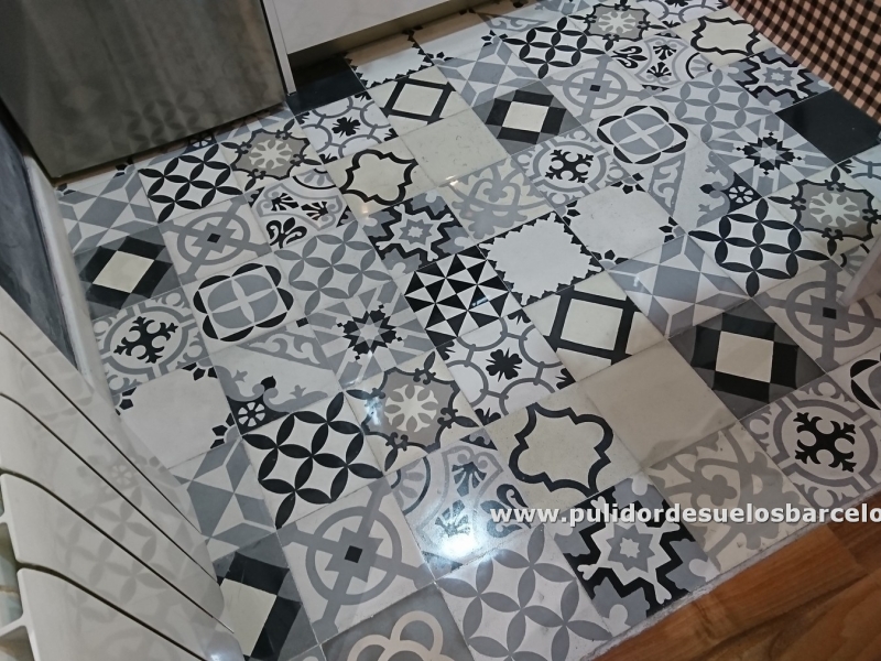 Si sus&nbsp;suelos de mosaico hidráulico&nbsp;están&nbsp;deslucidos, envejecidos, rayados&nbsp;y a pesar de las limpiezas continuadas siguen igual de rugosos y sucios, sin duda debe&nbsp;contar con nosotros&nbsp;Precio 40€xm2. Puede confiar en nuestra larga trayectoria y contratar un profesional&nbsp;pulidor de suelos&nbsp;para lijar, pulir, rejuntar, rebajar o&nbsp;abrillantar su suelo de mosaico antiguo o nuevo.
