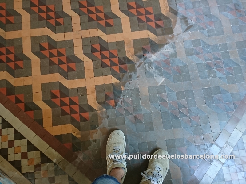 Si sus&nbsp;suelos de mosaico hidráulico&nbsp;están&nbsp;deslucidos, envejecidos, rayados, manchados&nbsp;y a pesar de las limpiezas continuadas siguen igual de rugosos y sucios, sin duda debe&nbsp;contar con nosotros. T.932320042