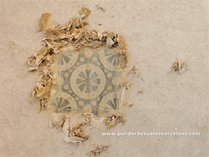 Pulidor de suelos&nbsp;para lijar, pulir, rejuntar, rebajar o&nbsp;abrillantar su suelo de mosaico antiguo o nuevo. Ofrecemos el mejor tratamiento personalizado de&nbsp;limpieza, pulido y abrillantado&nbsp;que realzará la belleza natural y centenaria de su hogar.