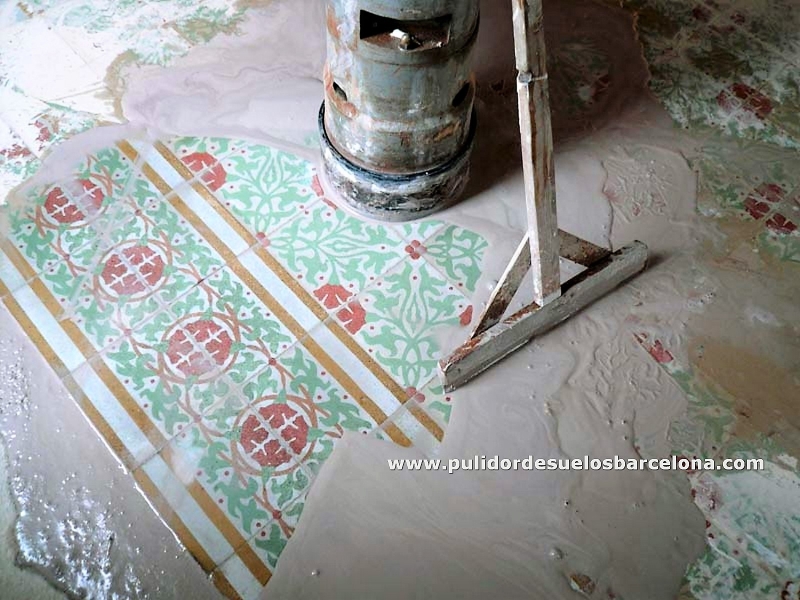 Aquí puede ver ejemplos de trabajos de pulido de suelos, rebaje&nbsp;y restauración de pavimentos y superficies. Resultados profesionales gracias a nuestra amplia experiencia en variedad de materiales;&nbsp; Mosaico Hidráulico, Mosaico Nolla.Mosaico Romano, Mármol, Terrazo, Barro cocido, Piedra, Pizarra, Hormigón, Gres, Cerámica...