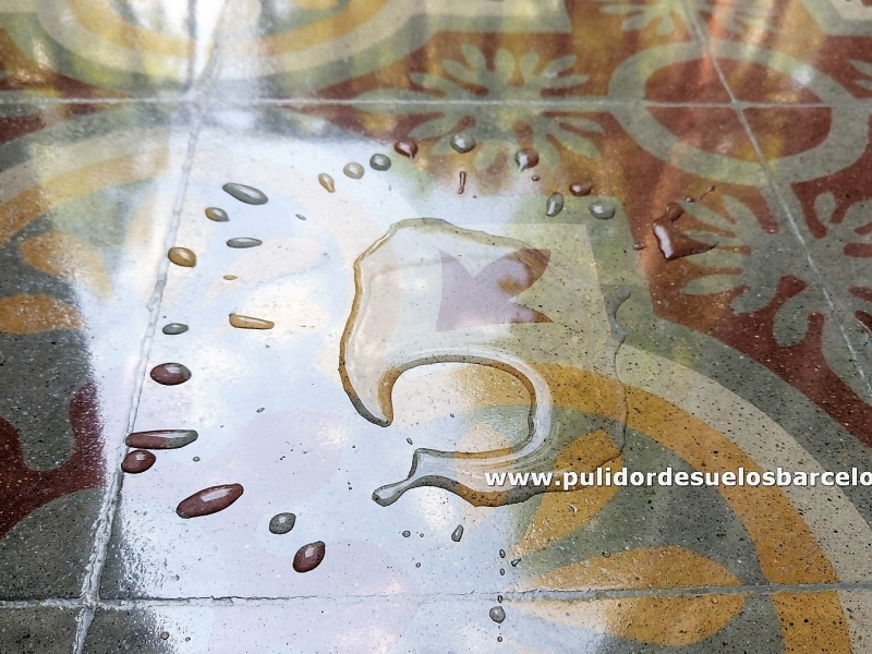 Si sus suelos de baldosa hidráulica&nbsp;están deslucidos y a pesar de las limpiezas continuadas siguen igual de rugosos y sucios, debe hacer um tratamiento protector tapa poros y asegurar su máxima protección anti manchas. Puede confiar en nuestra larga trayectoria y contratar un profesional pulidor de suelos para lijar, pulir, rejuntar, rebajar o abrillantar su&nbsp;suelo de mosaico antiguo o nuevo.&nbsp;Ofrecemos el mejor tratamiento personalizado de limpieza, pulido y abrillantado&nbsp;que realzará la belleza natural y centenaria de su hogar.